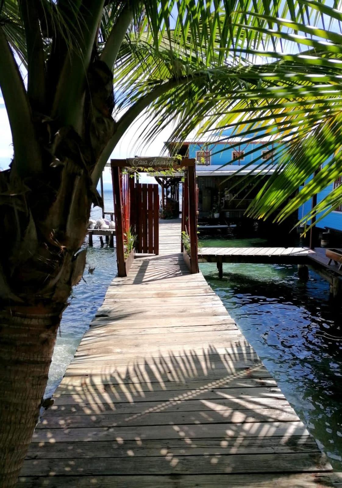 Casa Acuario Boutique Hotel Bocas del Toro Exterior foto